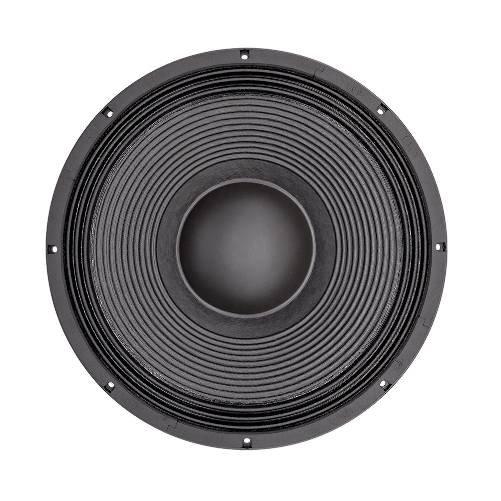 21-дюймовый профессиональный а – обзор и цена Subwoofer