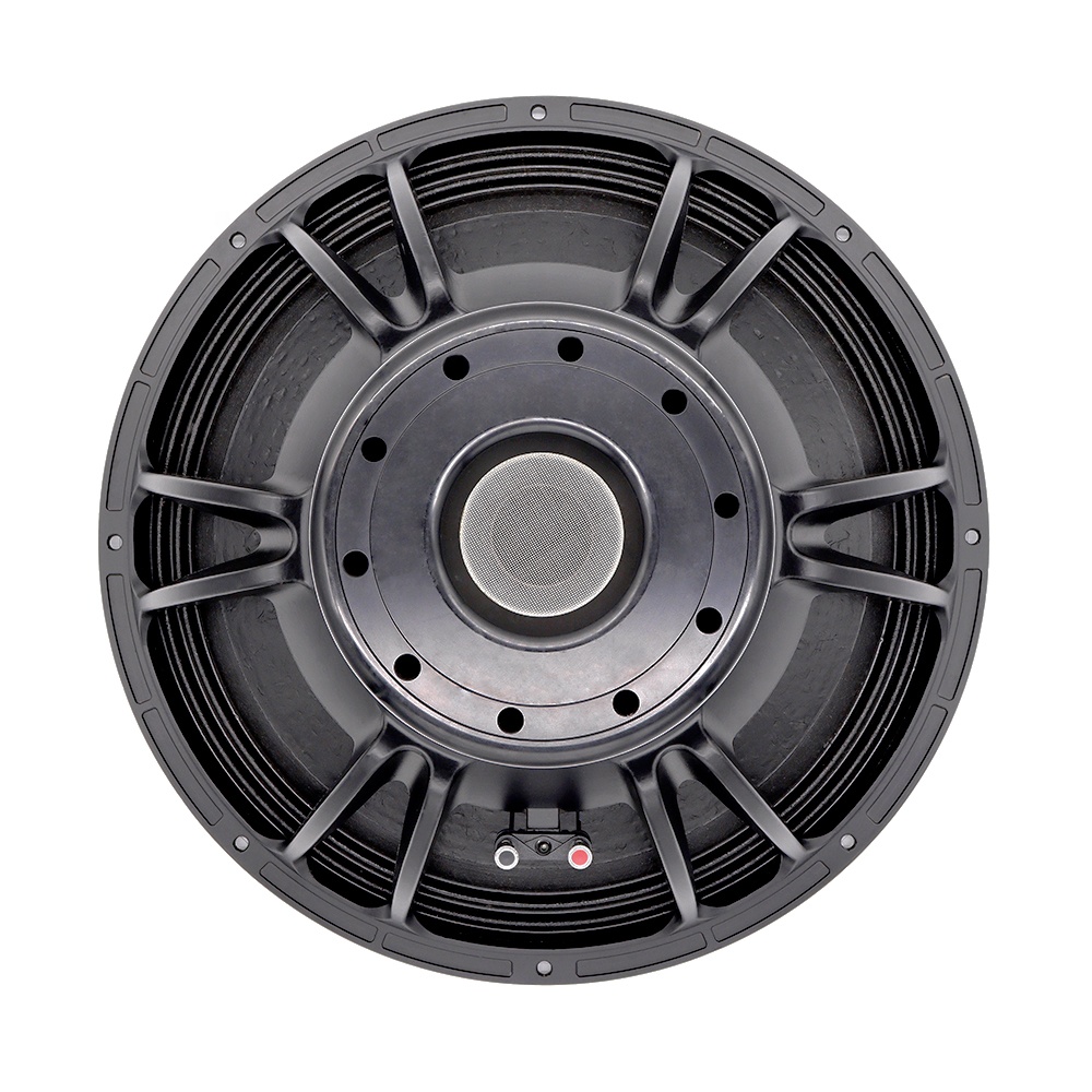 21-дюймовый профессиональный а – обзор и цена Subwoofer